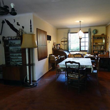 Chambre dans propriété La Croix du Sud Le Pradet Extérieur photo
